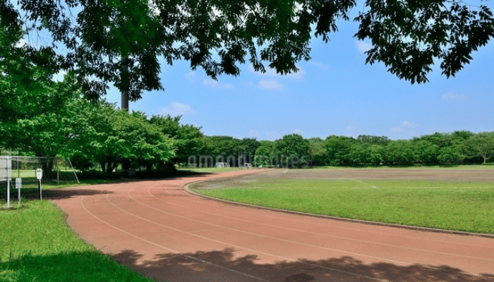 大泉中央公園