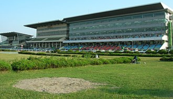 浦和競馬場