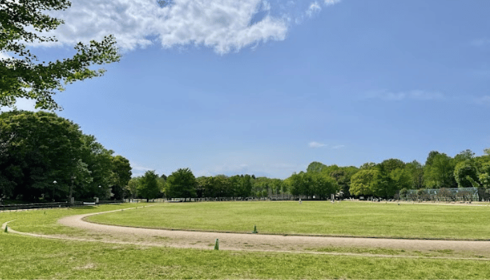 光が丘公園
